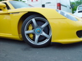 DSC07884.JPG